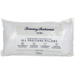 King Size 2 Pk Bed Pillows