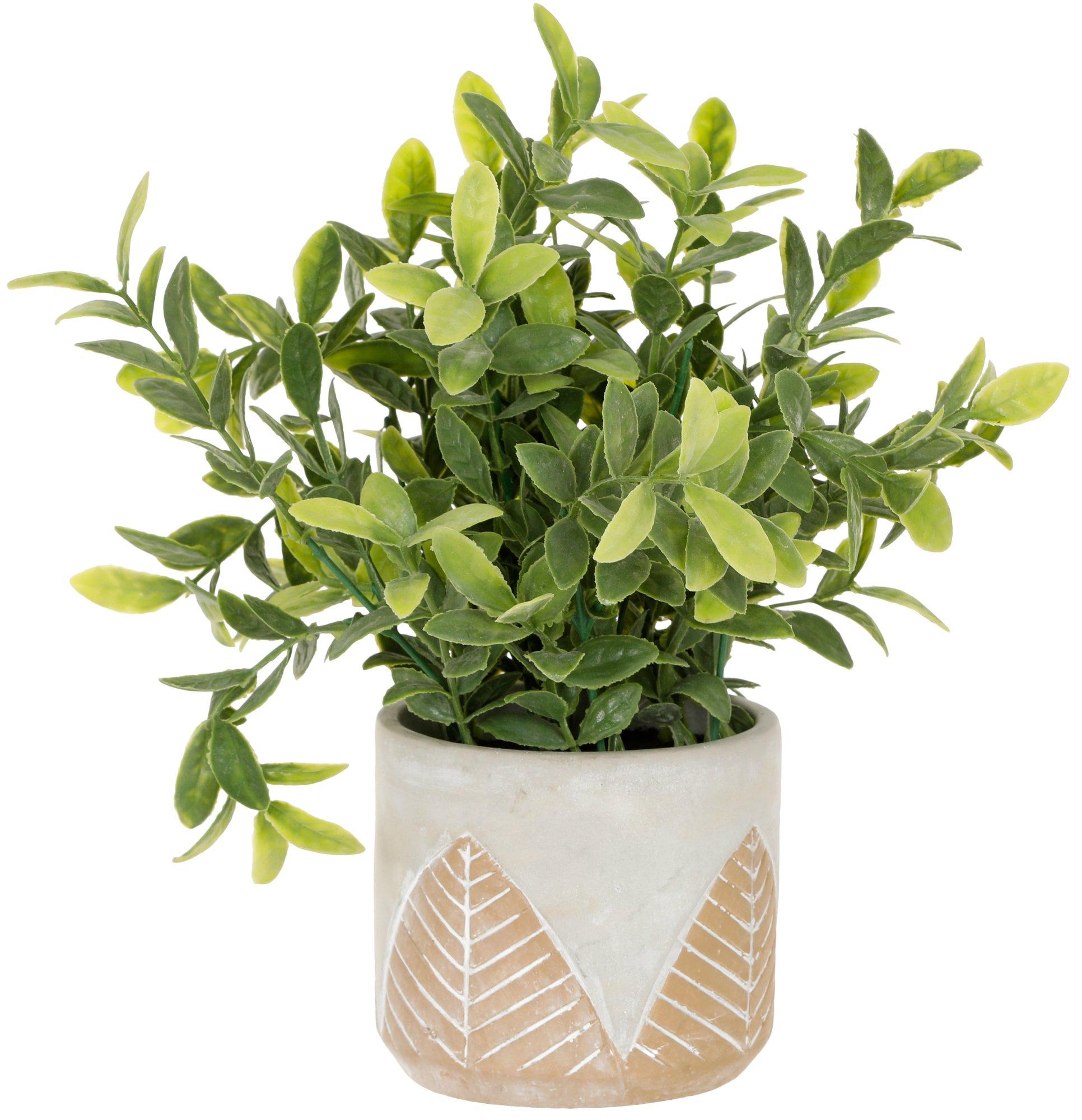10 Greenery Potted Plant