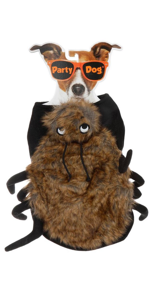 Discover Bradenton's Halloween Pet Costume Contest